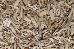 biomass boilers Cartledge